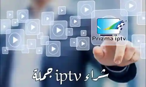شراء iptv جملة